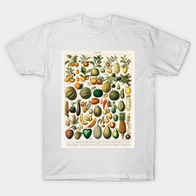 variety of fruits and vegetables T-Shirt by fleurdesignart